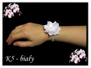 K5_bialy_dlon.jpg